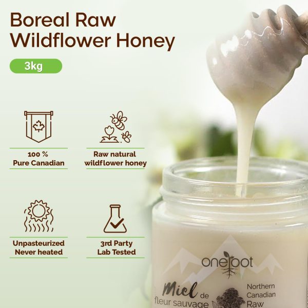 Oneroot 100% Canadian Wildflower Honey - 3kg / 6.6lb, Unfiltered, Unheated & Creamed, Nutrient Rich Raw Wildflower Honey With Enzymes, Thick Natural Sweetener - Image 2