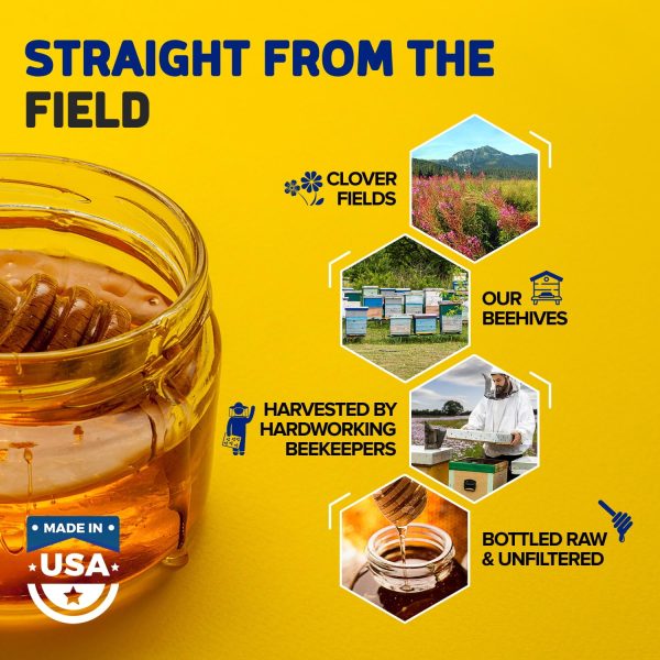 Fischer’s 100% Pure Clover Honey – Unfiltered Raw Honey, 32 oz Squeeze Bottle – All-Natural Sweetener – Rich Flavor Profile, Packed with Nutrients - Image 7