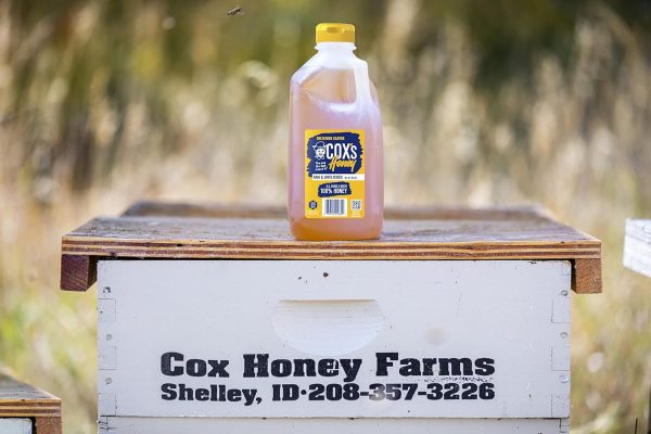 Cox's Honey 100% Pure, Raw Unfiltered Clover Honey, Rich in Nutrients, Family Owned Apiary, 5 lbs Jug - Image 2